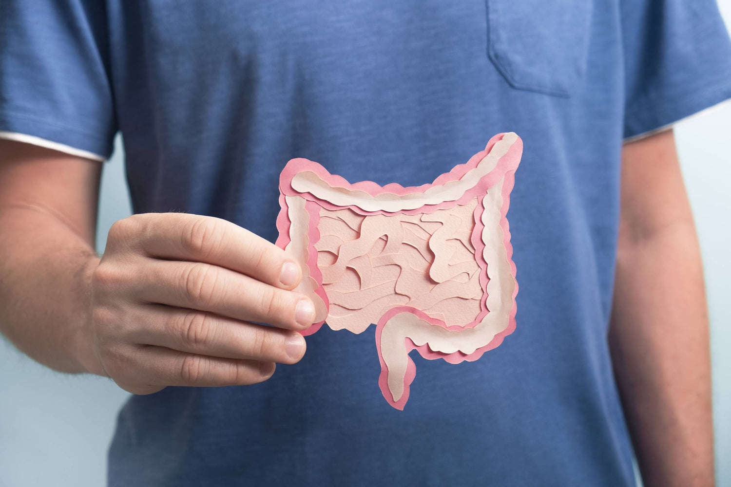 Gut Health’s Impact on Men’s Energy