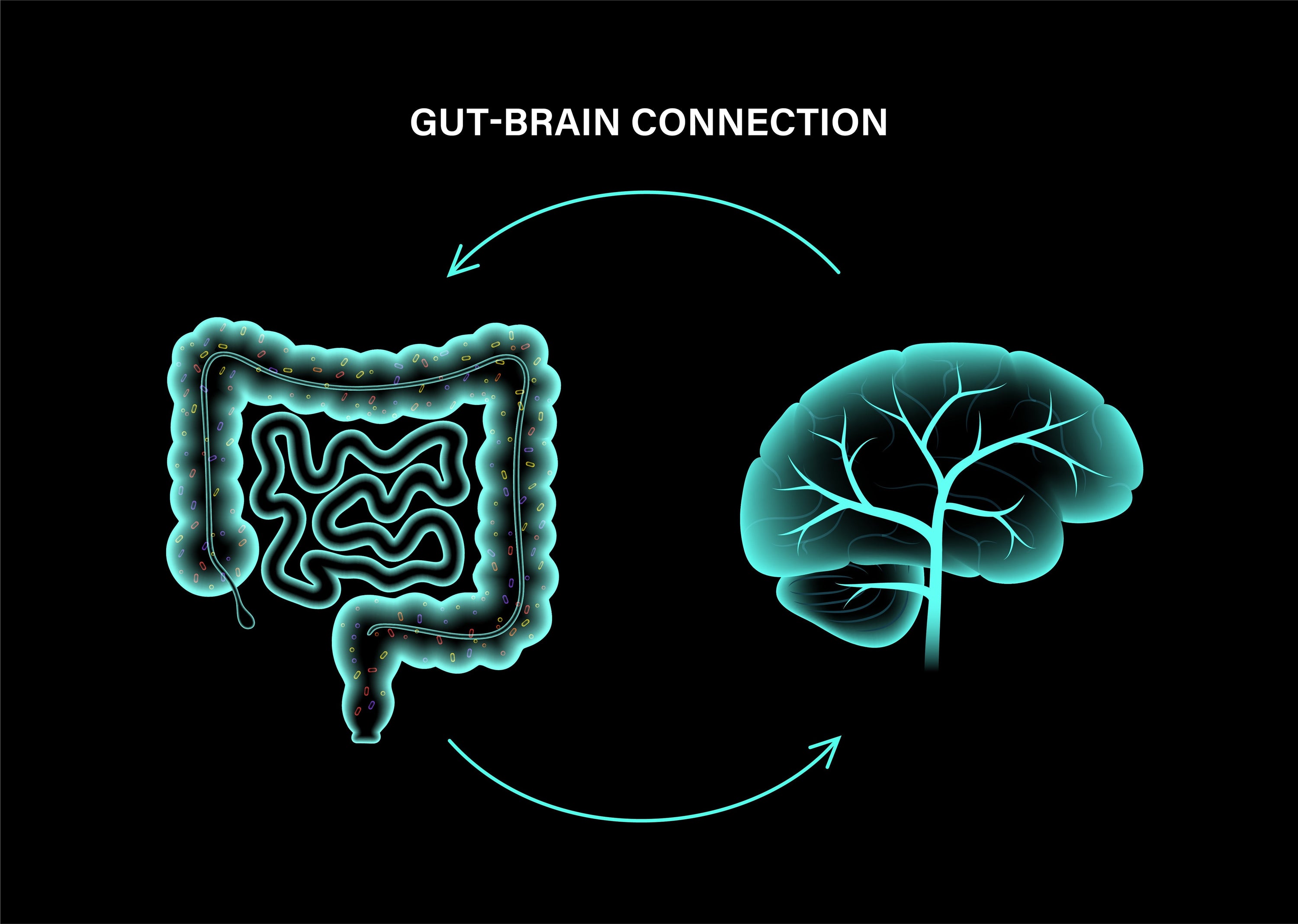 Brain and Gut Health Connection